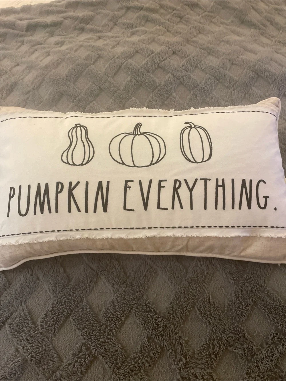 Rae Dunn Decorative Pillow Pumpkin Everything.